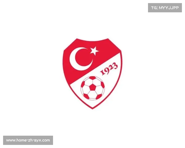 土耳其队称奥兹尔私自离队不可接受圣吉兹尔火线顶替镇守球门