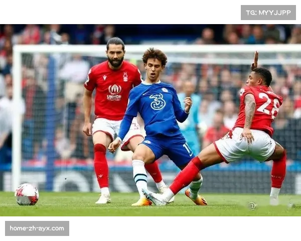 诺丁汉森林五球横扫桑德兰 为保级增添关键三分